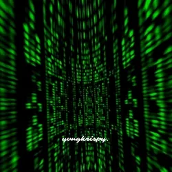 Digital Matrix