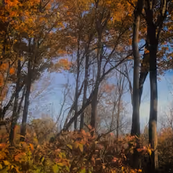 2020Oct14_1407_HCJ_1