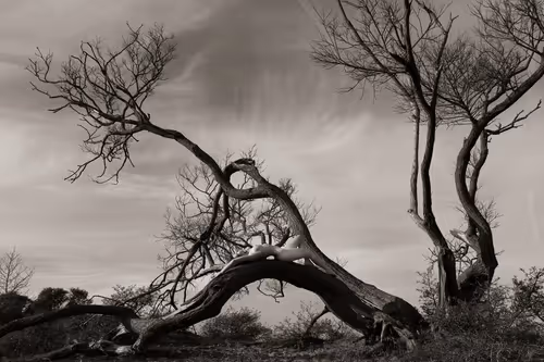 Item #50747893746858818908367272337073903739912207369127684864998521108539061043201 Media