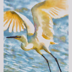 55704534837685659622621715309832868758345944585427688586690141434455552688129