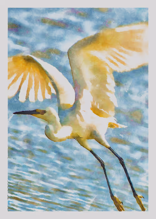 Item #55704534837685659622621715309832868758345944585427688586690141434455552688129 Media