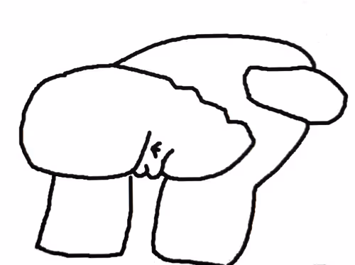 Schneidle Collection