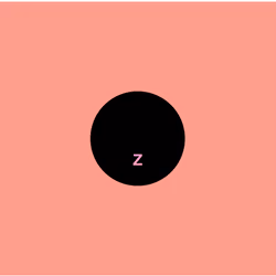 Z. The Point of View. RARE