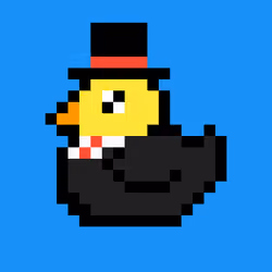 Duck #4