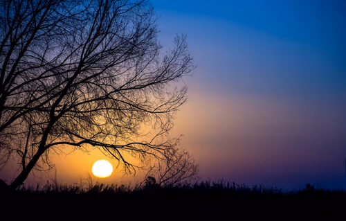 Item #82659361833004328141584002700570172314064346782117350339794085695907814178821 Media