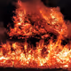 Fires of the Community