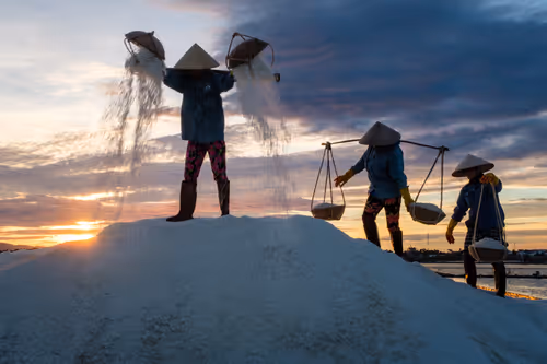 Item #44380994338133063636427405274069008736849147253072084515634940305209932382209 Media