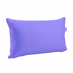 Pillow #12