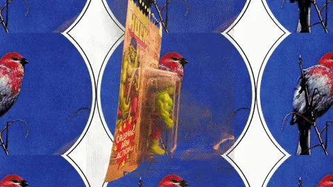 Item #21323097344883849654448628108505436225969268415163286467459733204271320006657 Media