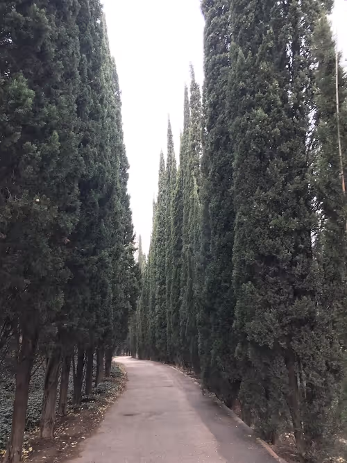 Item #28983806154019988982234389122970285076439486341566149619179108655413074067457 Media