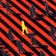 106092834875341145915002774941766588502912656300503291998166630893392756736010