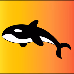 The Biggest Whale In Crypto