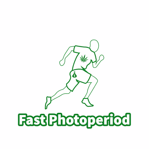 Item #50513128607800716291001204284851075840536625727922592164304407758151975174244 Media