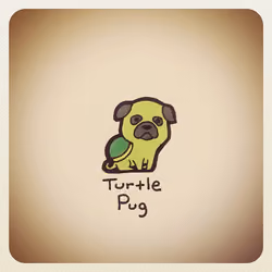 Turtle Pug
