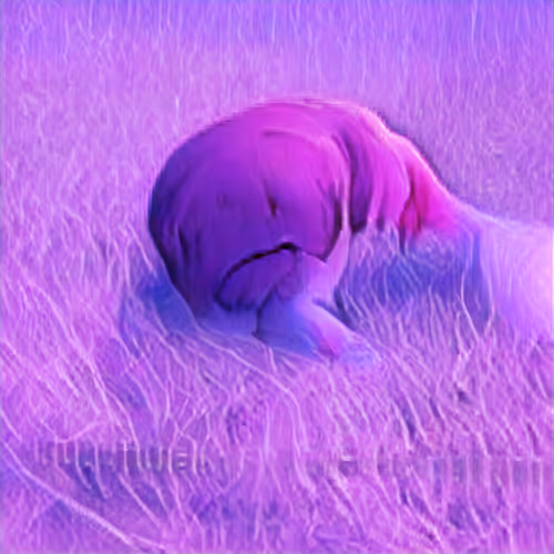 81389452228015721923544690746270190594299388963234071450728086116706419736577