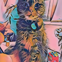 Maverick