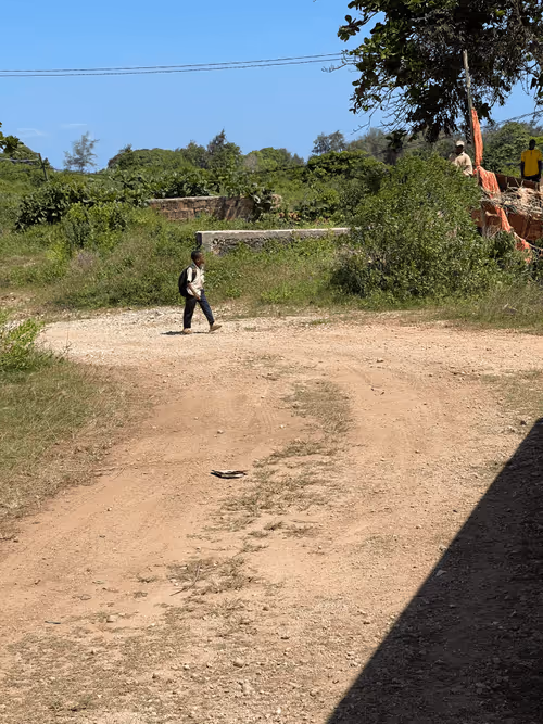 Item #56530305856873044538432398284863534629258124797706589154643470582481890050049 Media