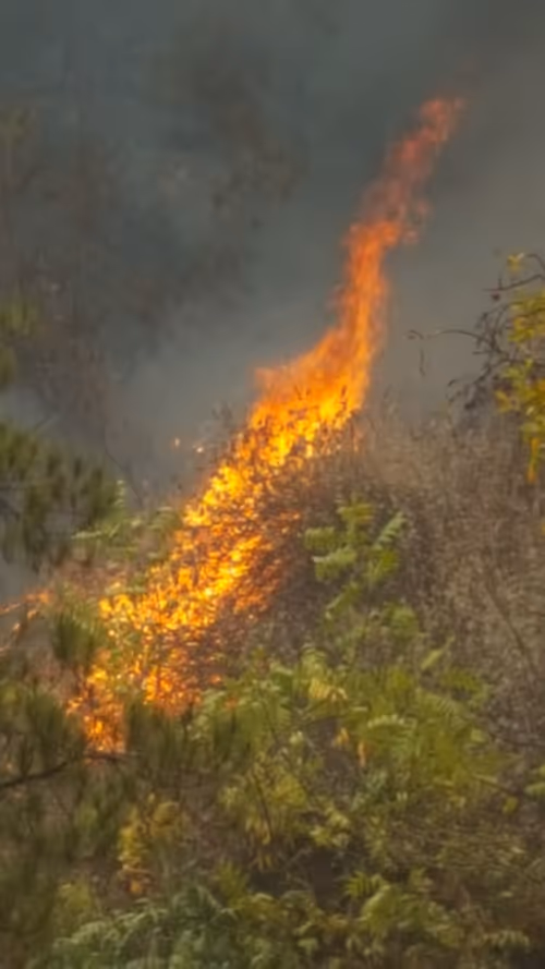 Item #8760741474218491769639140375540266935041976557452309026439600029441749680129 Media