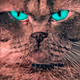 29713447594218631420468700441908303073764344380037523344275357601260202098689