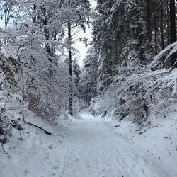 Winter Glitch 3