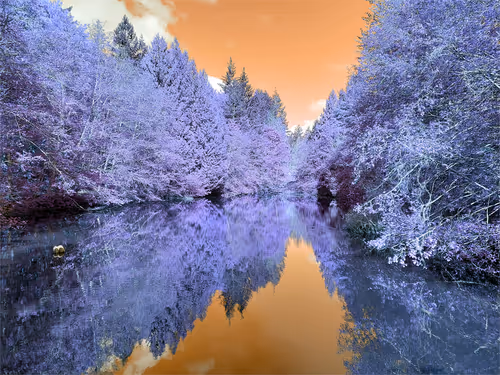 Item #95931297699129074846716735427797376560600754203880057175711201401718777577492 Media