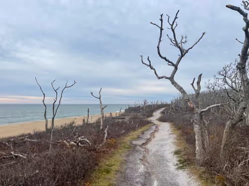 Item #36844992614188905470265102847256926820365174315882136485200209196212740423681 Media