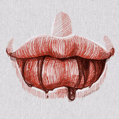 Item #27921743008571817687184646178926159877577224498393299984677392986668250693633 Media