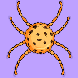 #14 Cookie spider