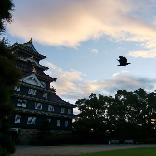 Item #93610477576239495509227283487181348079099227887167230462024179918193494589441 Media