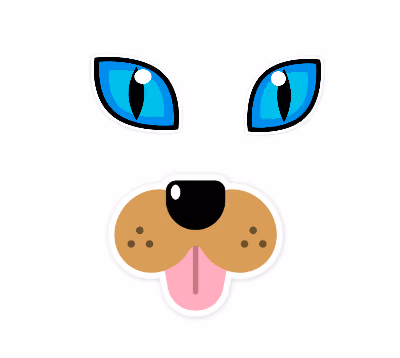 Doggycat