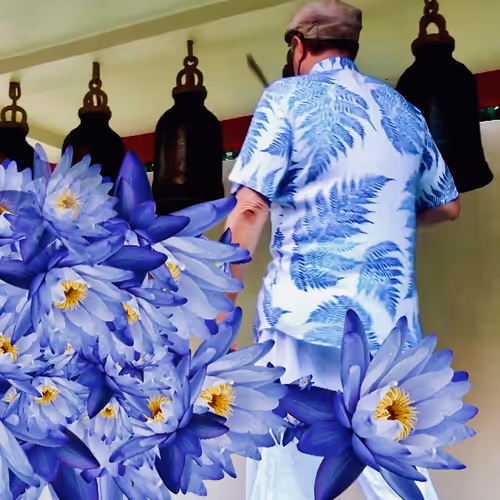 82096501346670239397437643031748443215885747244841533606612332149292119621633