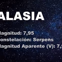 Star ALASIA