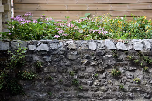 Item #916077490281078954391891268022086119289121145792755899354399227715264708609 Media