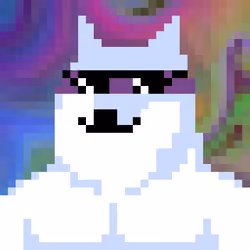 CryptoShibe #4989