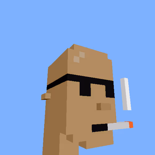 PunkVoxels #3171