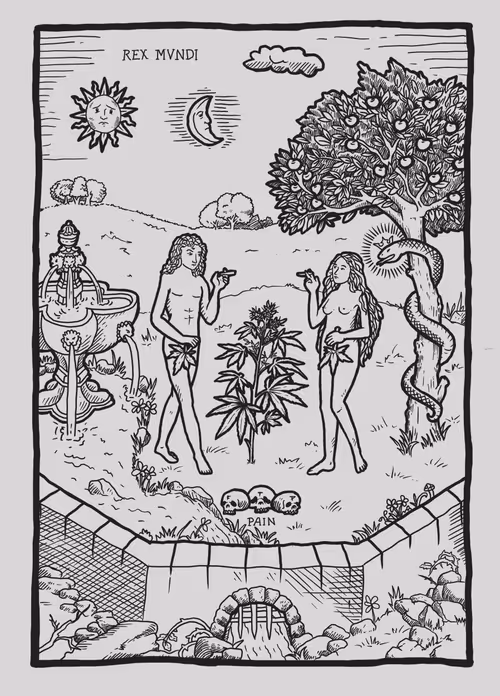 Item #76294667933518796910980352511637489380957243746220754632211008534715733901313 Media