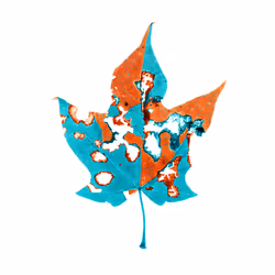 MAPLE II