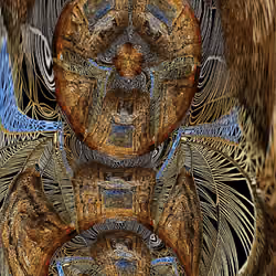 Chaman