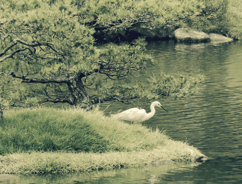 Item #89534767864189409759149289902854589290049620081388953356562923099517064577025 Media