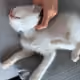 8665727759412748155226687366651350766252383331957132606779190345389670662145