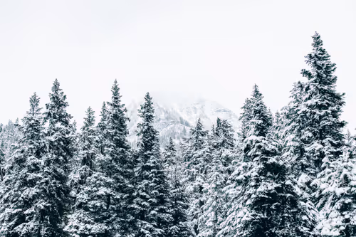 Item #63454844605715267947314910232292346032056647728766809663184741539573321957377 Media