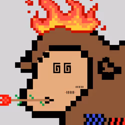 85122147178286775882516028388323701515228575826095020301917028723227176730625