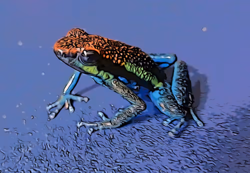 Item #29264666619168010317647881047170433350762654908464135976635272414191866085377 Media