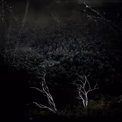 109162157552346088047496633038404394118504199992061596446112929573244338438145