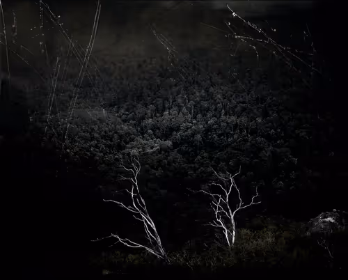 Item #109162157552346088047496633038404394118504199992061596446112929573244338438145 Media