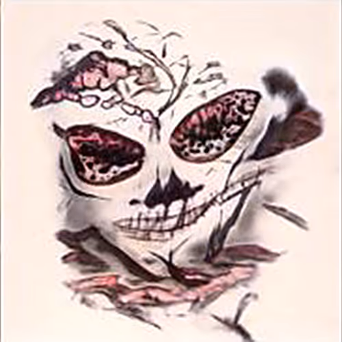 Item #110466434685535267528312366585544489607100704110403619358250249137773634125825 Media