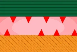 #69450418052328008306616366937338419364445356992507941771649242593045308768257