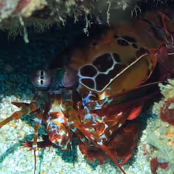 80965803268169370603932631570667161375508893671094224909166964009464691163137