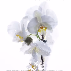 Revival's art poster #5