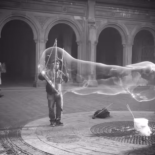 Untitled Collection #134005966